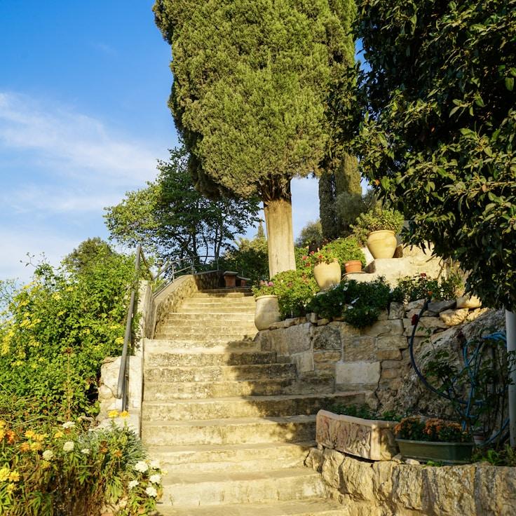 Family terraces and cafés for calm evenings in Toronto